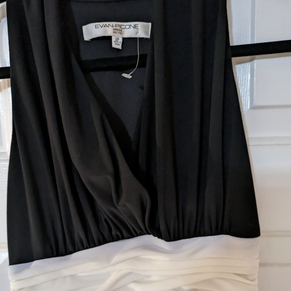 Evan Picone Evening Dress (new)